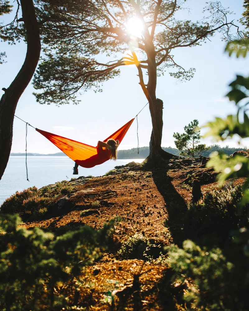 Eine Person liegt auf einer Hängematte, die zwischen zwei Bäumen gespannt ist und schaut aufs Meer.